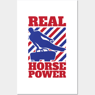 Gymnastic Pommel Horse Spinner, Male Gymnast Real Horse Power Posters and Art